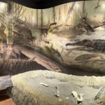 2023OTRA_745 (May 07, 2023)